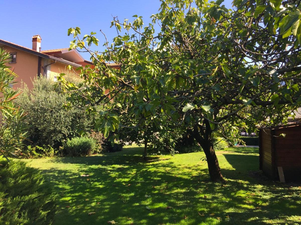 Abies Lago Di Como 동고 외부 사진