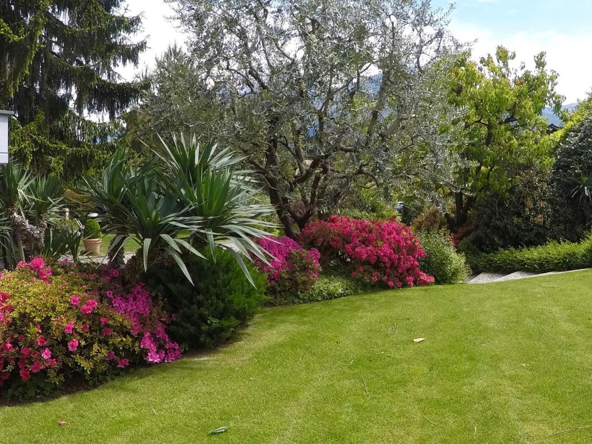 Abies Lago Di Como 동고 외부 사진
