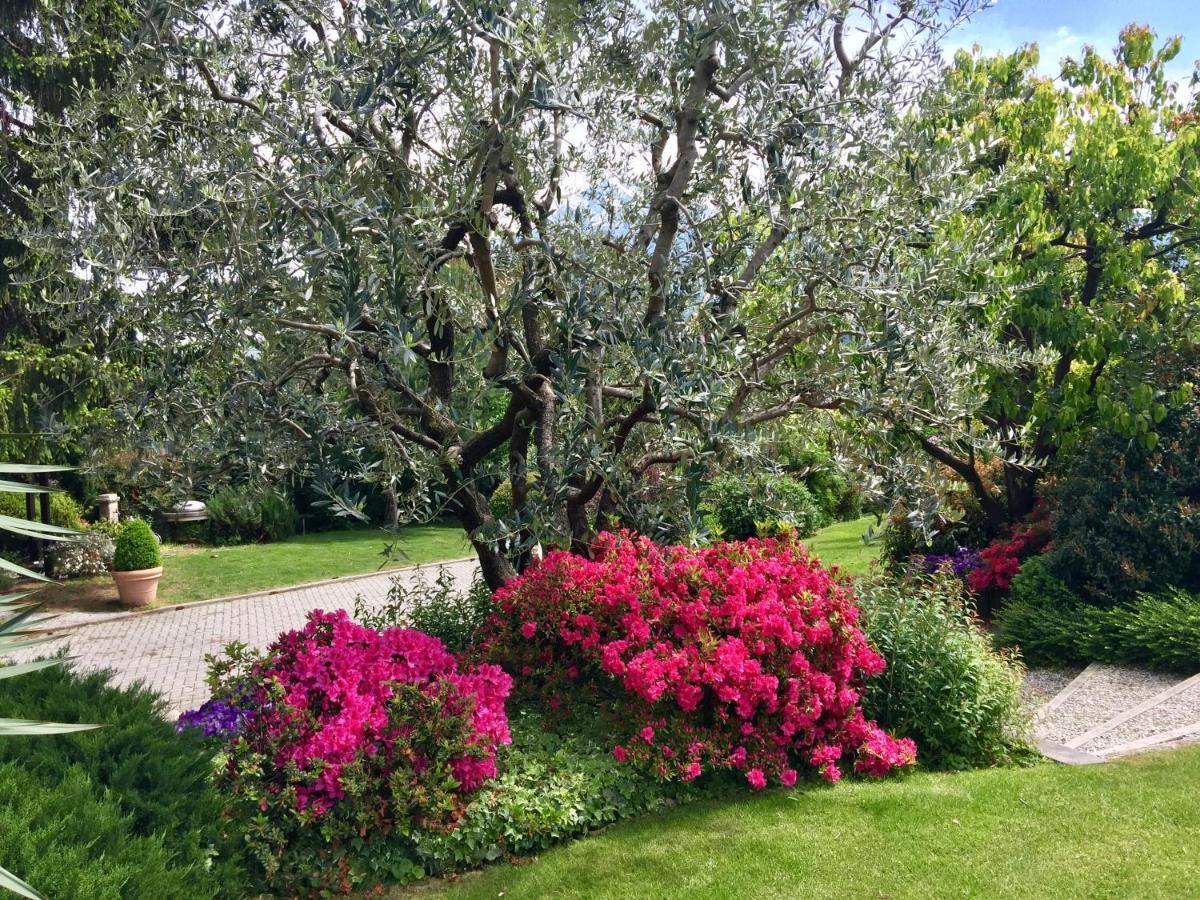 Abies Lago Di Como 동고 외부 사진