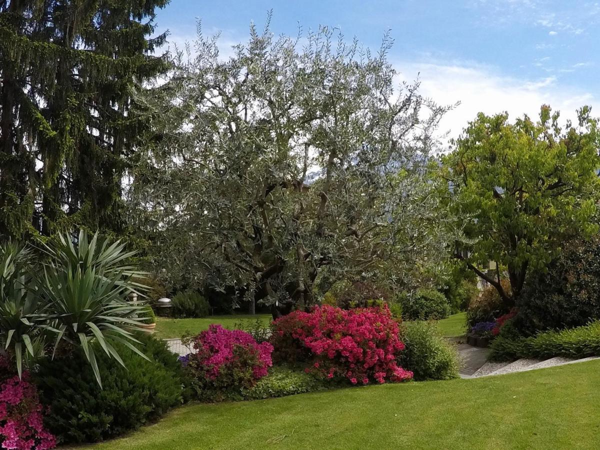 Abies Lago Di Como 동고 외부 사진