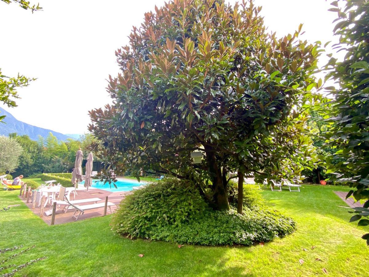 Abies Lago Di Como 동고 외부 사진